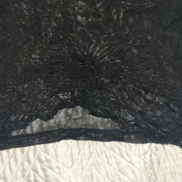 Windsor Sheer Lace Mock Neck Crop Top Romantic Goth Y2K Aesthetic S - Picture 3 of 4